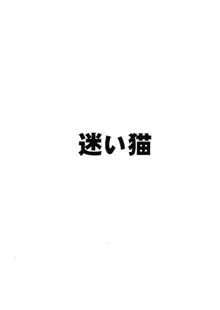 オヤブンつかまえた, 日本語