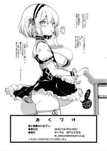 ヒ書艦のヒめゴト。, 日本語