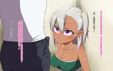 Isekai Iede Shoujo Tomete Mita. Dark Elf to Otomari SEX, 中文