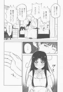 かさねて 上, 日本語