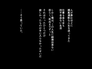 俺が姪を犯す理由, 日本語