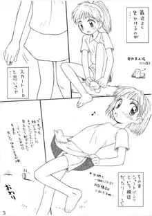 らく描きふぁいる3, 日本語