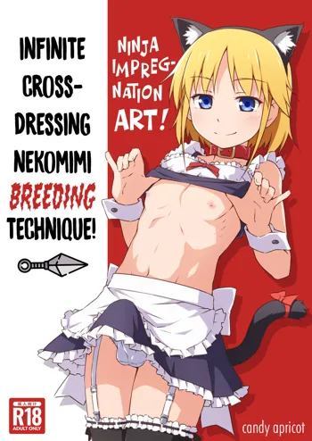 Ninpou! Josou Nekomimi Maid Mugen Tanetsuke no Jutsu!! | Ninja Impregnation Art: Infinite Crossdressing Nekomimi Breeding Technique!, English