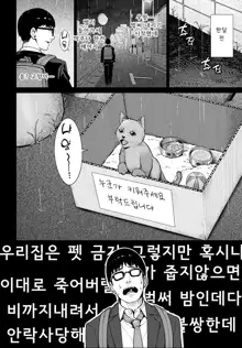 Neko to Koukishin to JK, 한국어