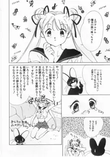 魔法のセーラー服美少女イクコちゃん, 日本語