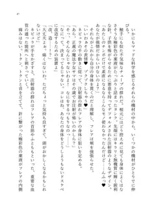 魔法少女セイントリリィ ～愛と正義のヒロインが敵幹部に洗脳調教され快楽に堕ちるまで～, 日本語