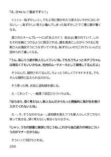 ヘンタイMCおじさんー働くオンナ達編ー, 日本語