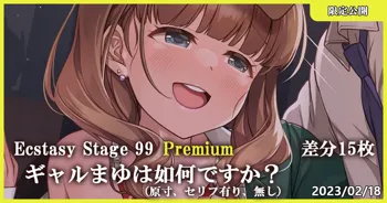 Ecstasy Stage 99 Premium ギャルまゆは如何ですか?, 日本語