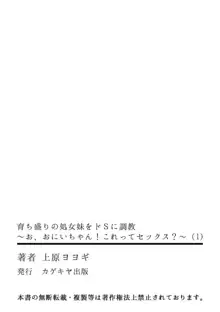 育ち盛りの処女妹をドSに調教〜お、おにいちゃん!これってセックス?〜 1-2, 日本語