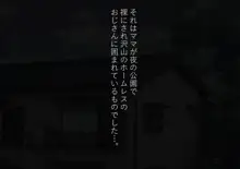 ぼくのママはぼくを妊娠しているときホームレスモノのAVに出演していました。, 日本語