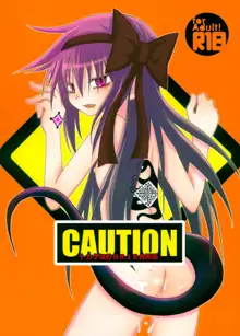 CAUTION, 中文