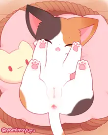 Neko animated, 日本語