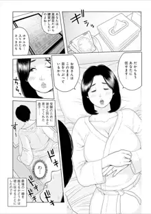 叔母さん 出してもいい? 第2巻, 日本語