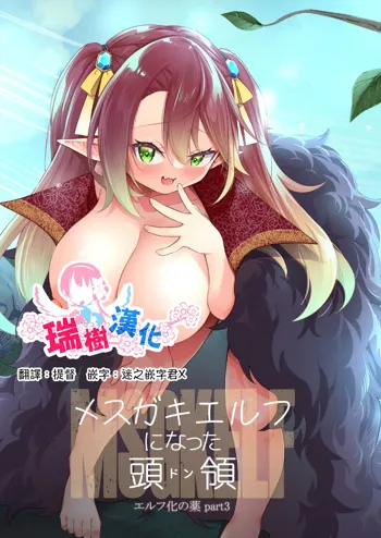 Mesugaki Elf ni Natta Don Elf-ka no Kusuri part 3 | 變成雌小鬼妖精的頭領 妖精化之藥 part3, 中文