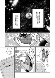 水の星より愛をこめて, 日本語