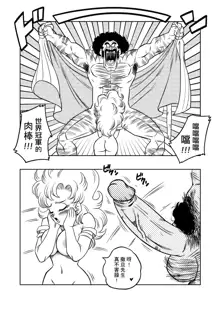 Mister Satan's Secret Training (decensored), 中文