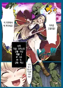 Goblin's Slave ~Reizoku Sennou de Goblin no Geboku ni Ochiru Mesu Boukensha-tachi~ | 고블린즈 슬레이브 ~노예 세뇌로 고블린의 부하가 되어버린 암컷 모험가들~, 한국어