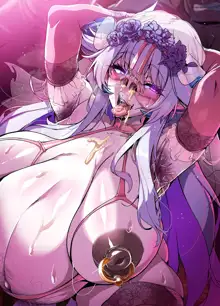 ELSWORD Series LU🐷 CG, 中文