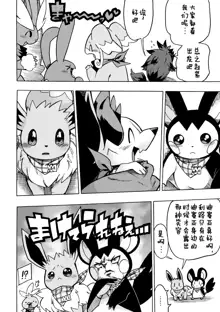 Pokedan ICMA Vol. 7, 中文