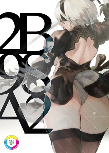 2B9SA2 (decensored), English