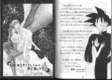 Dragonball for adult, 日本語