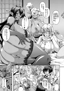 Elf Harem Monogatari - Elf Harem Story, 中文