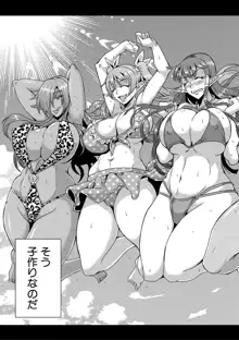 Elf Harem Monogatari - Elf Harem Story, 中文