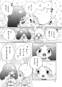 うさぎのほん, 日本語