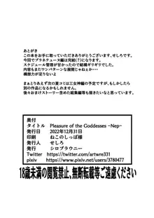 Pleasure of the Goddesses -Nep-, 中文