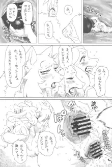 Kemokko Lovers 11, 日本語