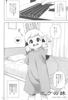 Kemokko Lovers 11, 日本語