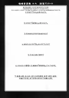 瑠璃堂画報 CODE:19, 日本語