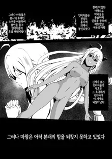 Shuudou Kishi Cecilia ~Futanari Kaizou Kyousei Sakusei~ | 수도기사  세실리아 ~후타나리 개조 강제착정~, 한국어