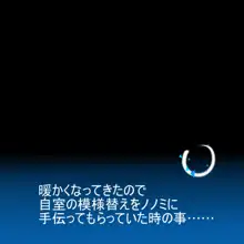 めちゃくちゃわるいこノノミ, 日本語