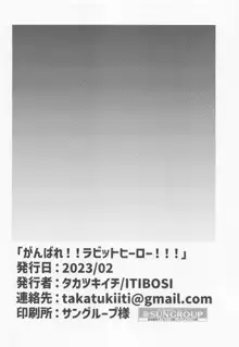 がんばれ!!ラビットヒーロー!!!, 日本語