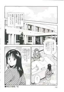 つけ込まれた少女, 日本語