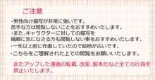 結婚した天草四郎が嫁のぐだ子ちゃんといちゃらぶせっくす♡する本。, 日本語