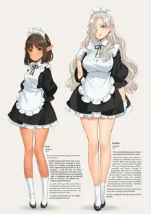 Himitsu no Shoukan de Ajin Maid o | A Secret Brothel with Demihuman Maids, English