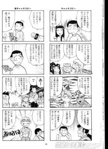 禁曜日の妻達, 日本語