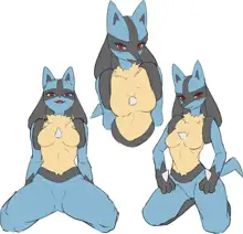 Lucario Male/Female Collection, 日本語