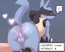 Lucario Male/Female Collection, 日本語