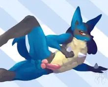 Lucario Male/Female Collection, 日本語