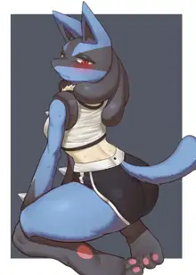 Lucario Male/Female Collection, 日本語