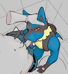 Lucario Male/Female Collection, 日本語