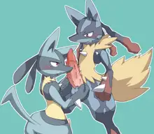 Lucario Male/Female Collection, 日本語