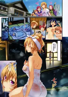 Erina-sama no Renai Kenkyuukai. 2 (decensored), 中文