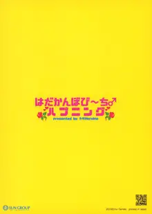 はだかんぼび～ち♂ハプニング, 日本語