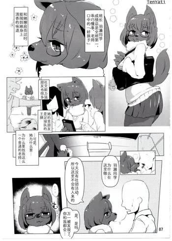 Kemokko Lovers 8, 中文