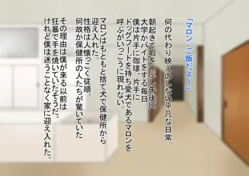 うちの犬はご主人様主従逆転人生, 日本語