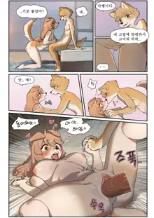 Senpai (decensored), 한국어